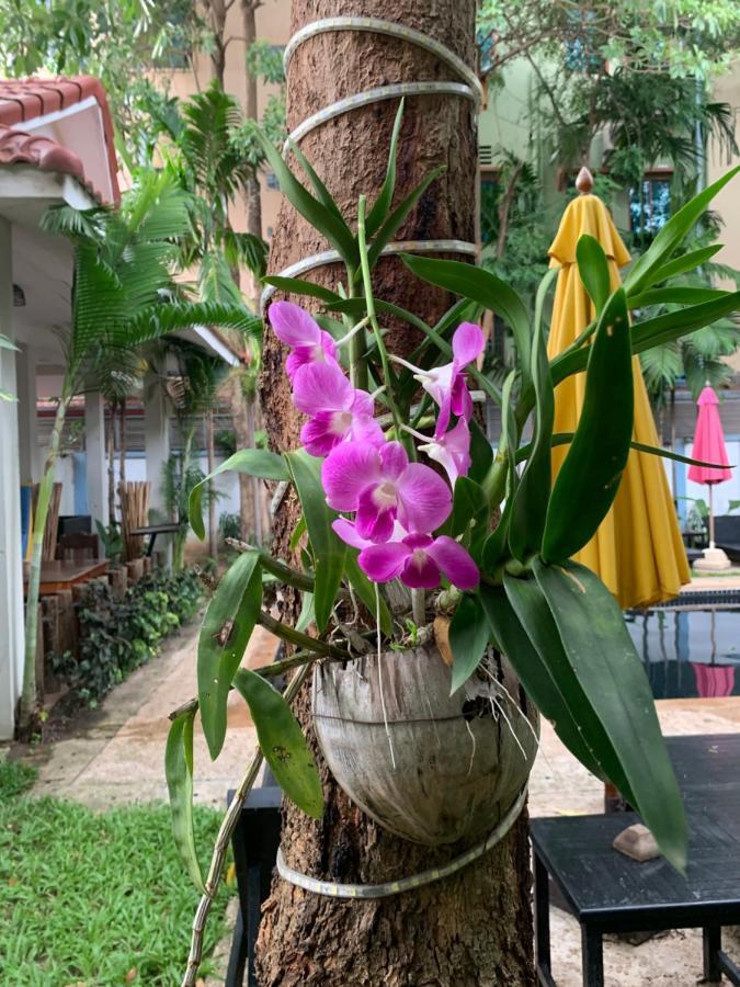 Angkor Magic Tree Boutique Hotel Siem Reap Exterior photo