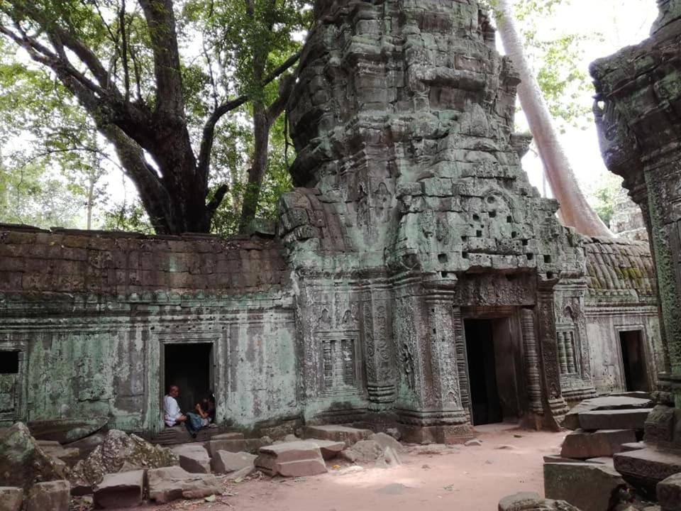 Angkor Magic Tree Boutique Hotel Siem Reap Exterior photo